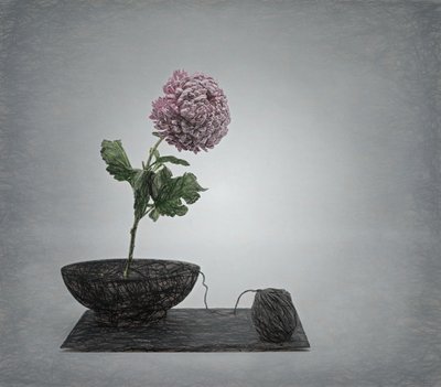 - Saskia Dingemans
