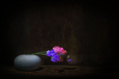  - Saskia Dingemans