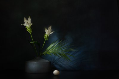  - Saskia Dingemans