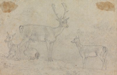 Un cerf et deux biches - Sawrey Gilpin