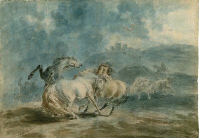 Chevaux se battant - Sawrey Gilpin