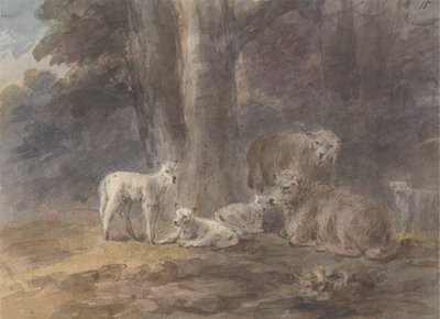 Moutons sous un arbre - Sawrey Gilpin
