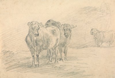 Deux vaches sur une colline - Sawrey Gilpin