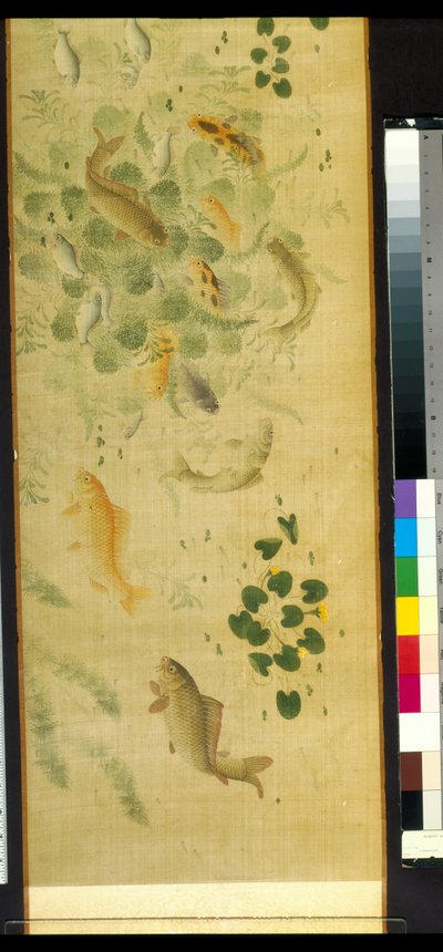 Myriade de poissons en audience avec une carpe - School Chinese