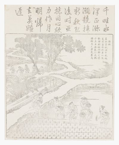 Planter le riz - School Chinese