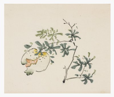 Série des Dix Bambous - School Chinese