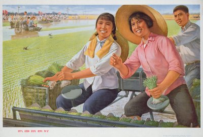 Transplanter des semis avec une machine est bon, affiche de propagande de la Révolution culturelle chinoise - School Chinese
