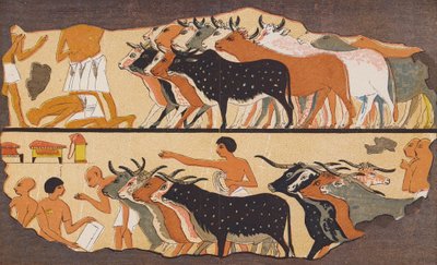 Bétail, Égypte ancienne (lithographie en couleur) - School Egyptian
