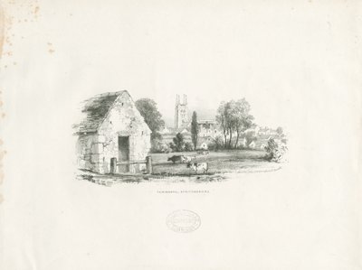 Tamworth - School English