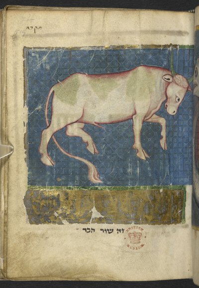 Un taureau, d