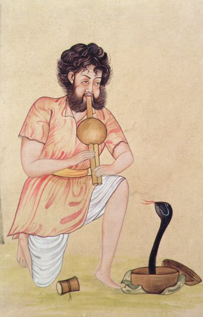 Charmeur de serpents - School Indian