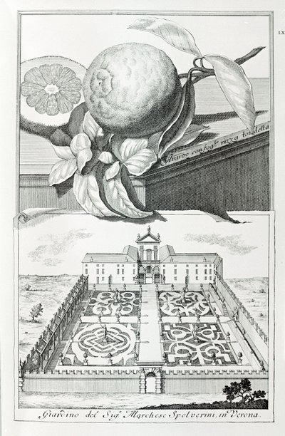 Villa du Marquis Spolverini de Vérone, de "Villas, Jardins et Paysages à Venise" par A. Volkamer - School Italian