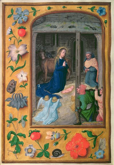 Nativité, d