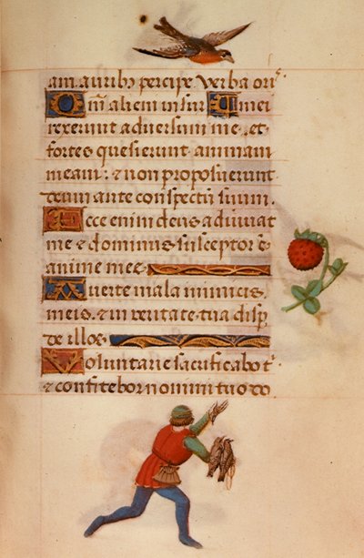 Homme avec des faucons, des 