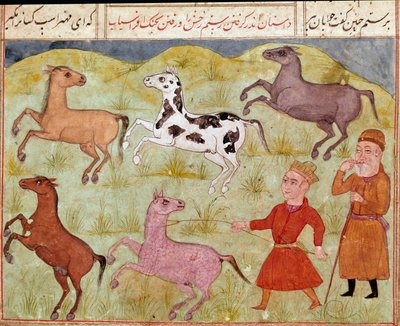 Un seigneur et son garçon de ferme capturent des chevaux sauvages au lasso. Miniature persane du manuscrit du poème épique « Shahnameh » (Livre des Rois) de Ferdowsi - School Persian