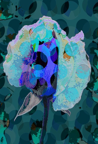 Rose thé 5B - Scott J. Davis