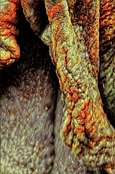 Tronc d