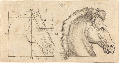 Deux têtes de cheval - Sebald Beham