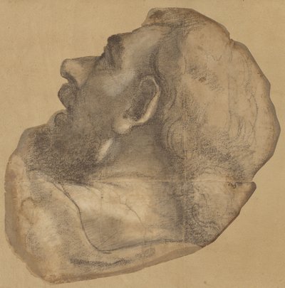 Caricature représentant la tête de Saint-Jacques - Sebastiano del Piombo