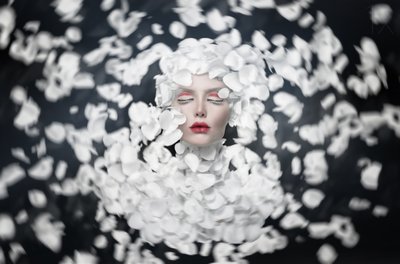 Rêve aux pétales blancs - See Plus