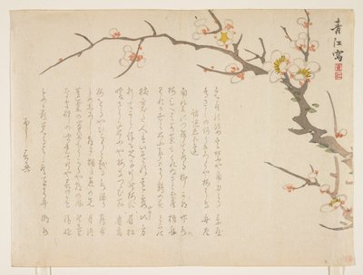 Prunier en fleurs, janvier 1837 - Seik Hashimoto