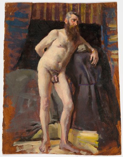 Nu barbu - Severin Falkman