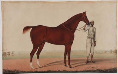Un cheval et un palefrenier, vers 1840 - Shaik Muhammad Amir of Karraya