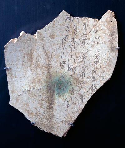 Pictogramme sur une omoplate de bœuf avec un rituel pour conjurer le danger - Shang Dynasty Chinese School