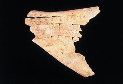 Pictogramme sur une scapula de bœuf avec un rituel pour éloigner le danger - Shang Dynasty Chinese School