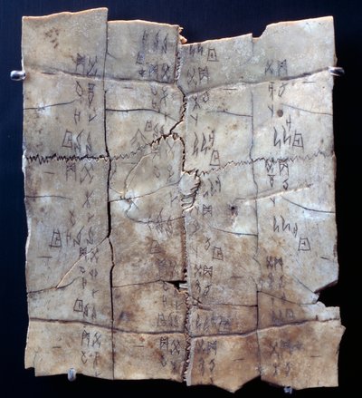 Pictogramme sur plastron de tortue avec texte de divination (plastron de tortue) - Shang Dynasty Chinese School