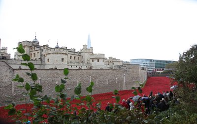 Terres et mers de sang balayées par le vent, Tour de Londres, 2014 - Sheldon Marshall