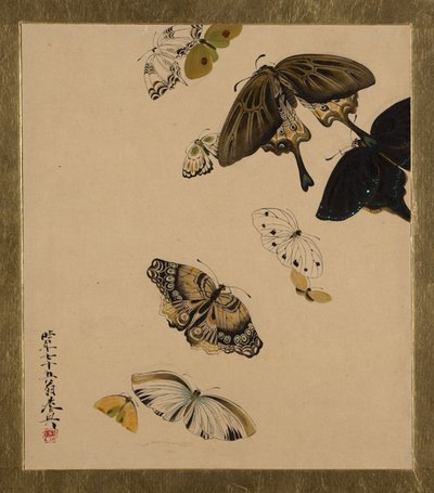 Peintures laquées de divers sujets : Papillons, daté 1881 - Shibata Zeshin
