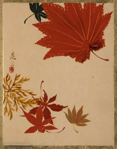 Feuilles d