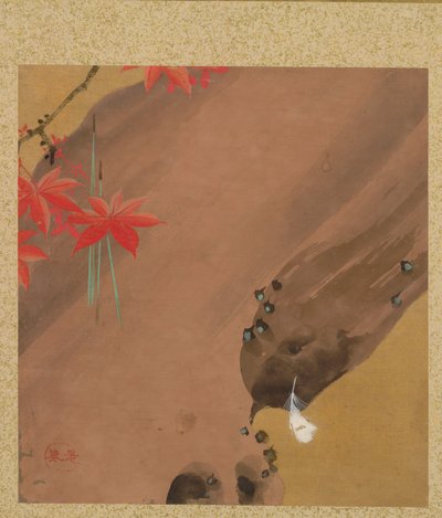 Feuilles d