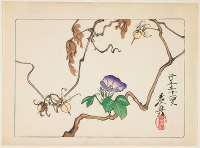  - Shibata Zeshin