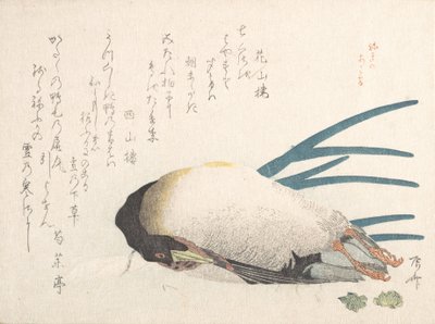 Collection de la pluie de printemps Harusame shu, vol. 1 : Canard et oignons, 1810s - Shinsai