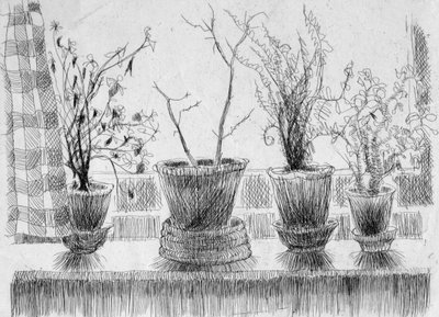 Plantes mortes sur un rebord de fenêtre, 1952 - Shirley Markham