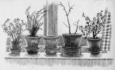 Plantes mortes sur un rebord de fenêtre, 1952 - Shirley Markham