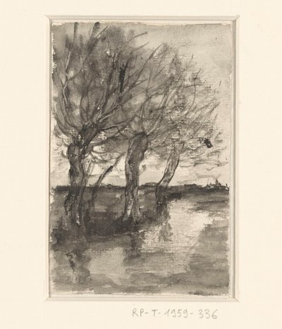 Arbres le long d
