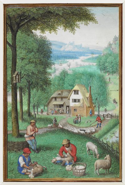 Miniature de calendrier pour juin montrant deux hommes tondant des moutons, avec un cottage en arrière-plan - Simon Bening