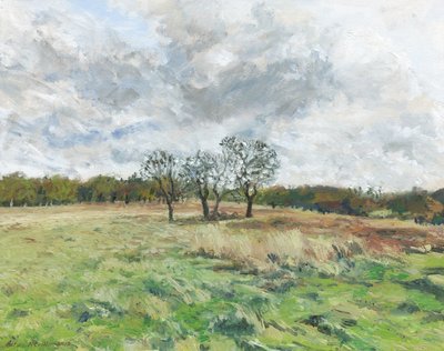 Richmond Park (huile sur toile) - Simon Neville