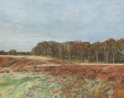 Richmond Park, 2019 (huile sur toile) - Simon Neville