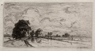 Paysage inondé avec des arbres - Sion Longley Wenban