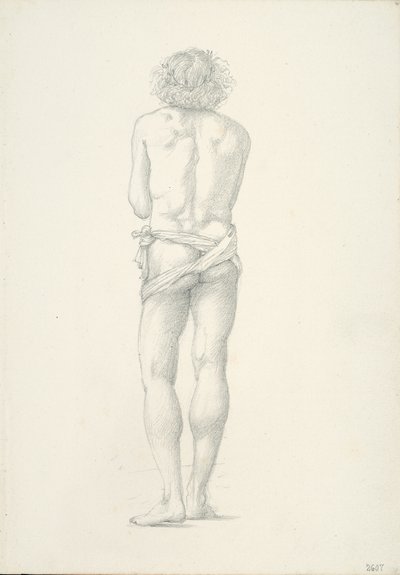 Vue de dos d