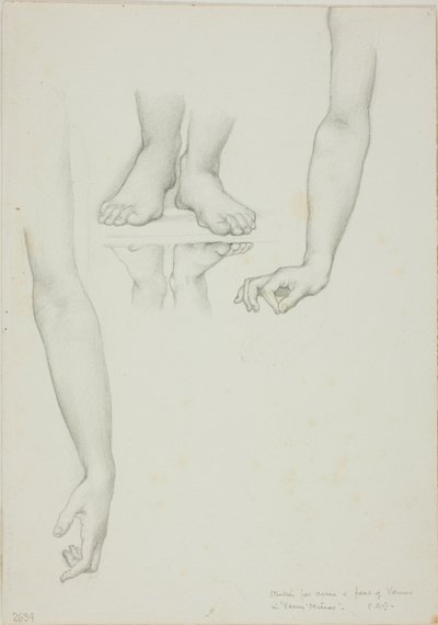 Étude pour le Miroir de Vénus : Bras et pieds de Vénus - Sir Edward Burne Jones