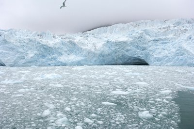 Morceaux de glace des glaciers voisins flottant dans la mer arctique, îles Svalbard, Norvège - Sisse Brimberg