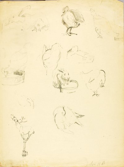 Études sur les animaux - Solon H. Borglum