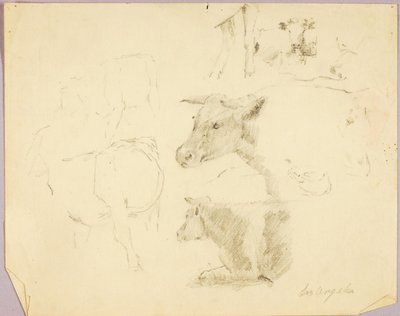 Vaches - Solon H. Borglum