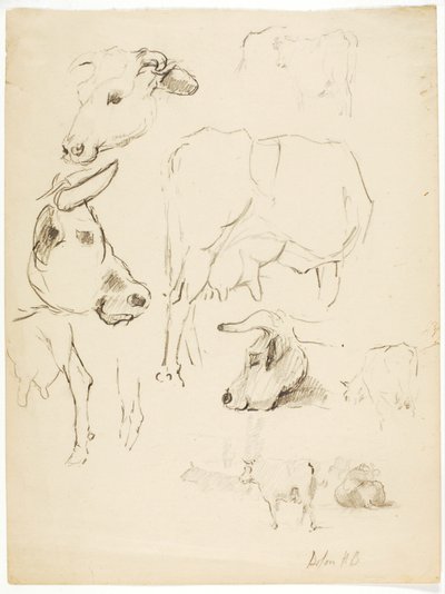 Vaches - Solon H. Borglum