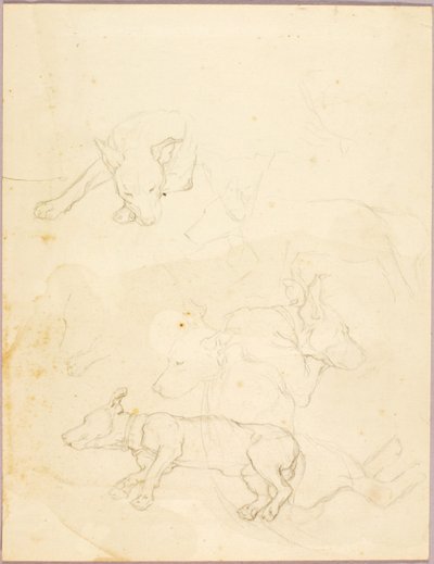 Chiens - Solon H. Borglum
